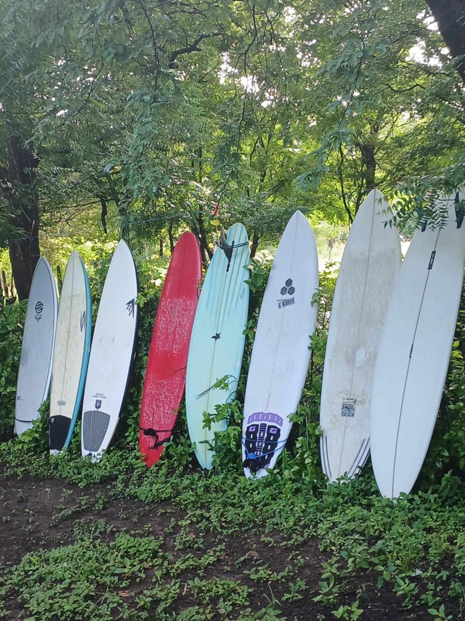 Bed and Breakfast Mola Mola Surf Popoyo Zewnętrze zdjęcie