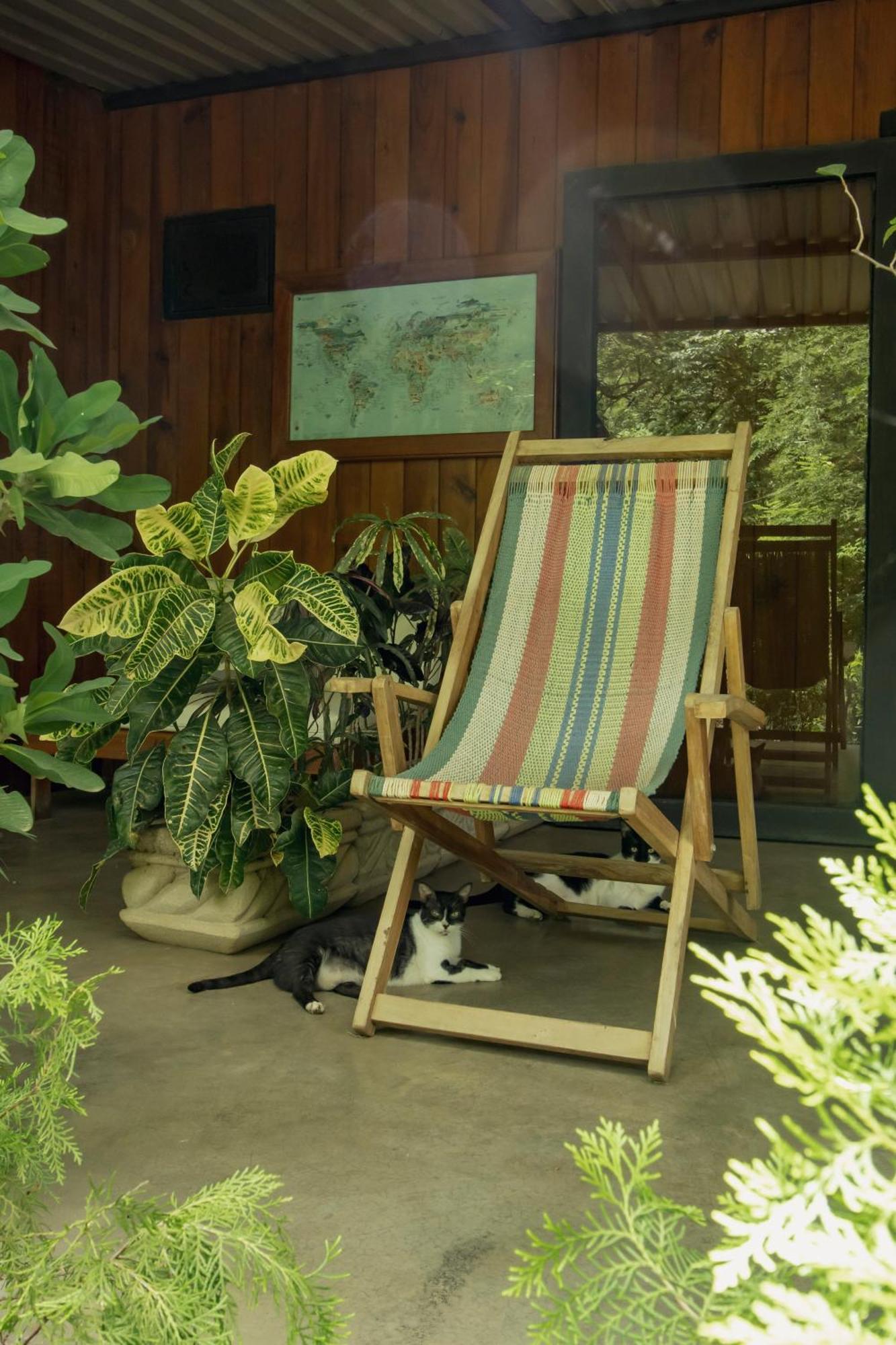 Bed and Breakfast Mola Mola Surf Popoyo Zewnętrze zdjęcie